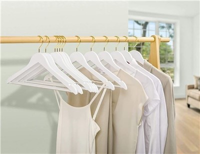 Digital Transformation in The Clothes Hanger Industry: The Success Of Butler ...